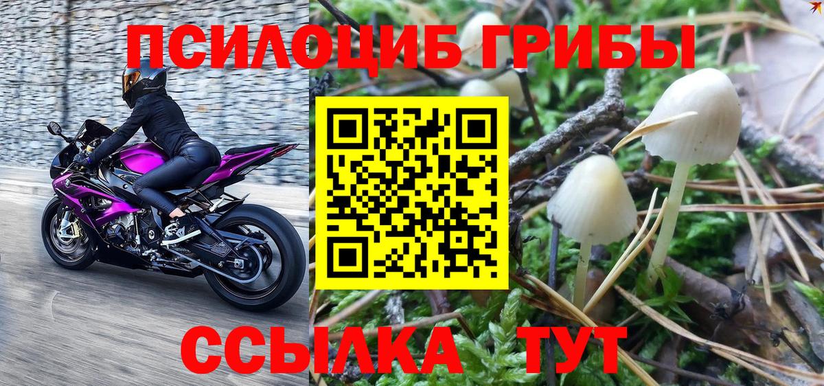 Псилоцибиновые грибы Magic Shrooms  где найти наркотики  Железноводск  Вход с VPN 
